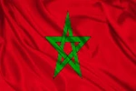UAE Flag